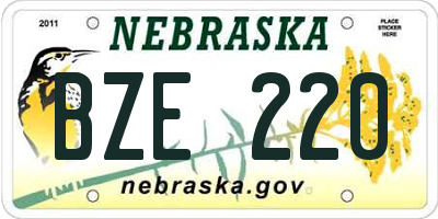NE license plate BZE220