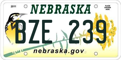 NE license plate BZE239