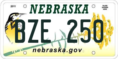 NE license plate BZE250