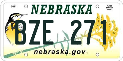 NE license plate BZE271