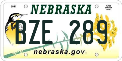 NE license plate BZE289