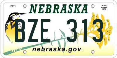 NE license plate BZE313
