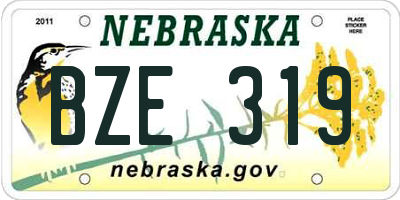 NE license plate BZE319