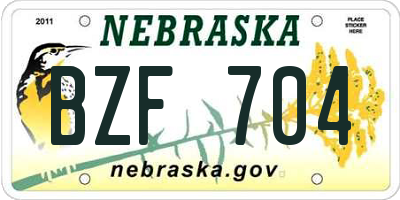 NE license plate BZF704