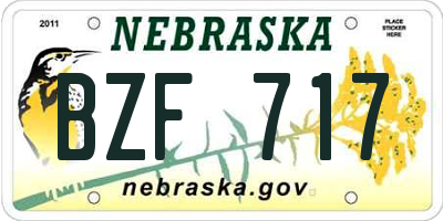 NE license plate BZF717