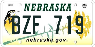 NE license plate BZF719