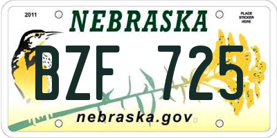 NE license plate BZF725