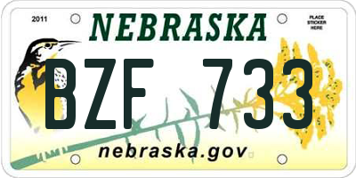 NE license plate BZF733