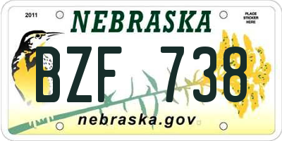 NE license plate BZF738