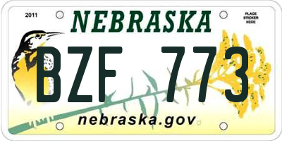 NE license plate BZF773