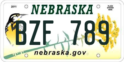 NE license plate BZF789