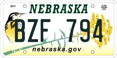 NE license plate BZF794