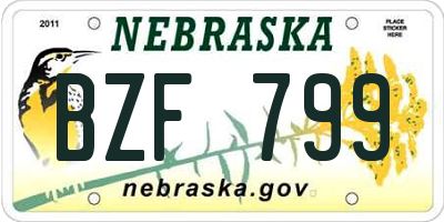 NE license plate BZF799