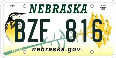 NE license plate BZF816