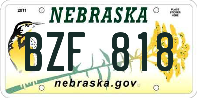 NE license plate BZF818