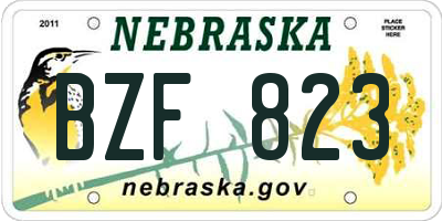 NE license plate BZF823