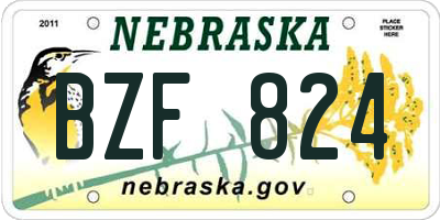 NE license plate BZF824