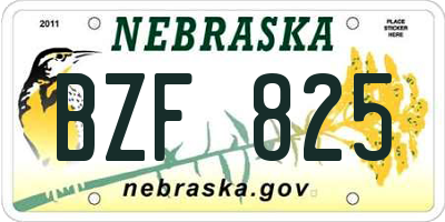 NE license plate BZF825