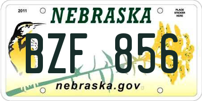 NE license plate BZF856