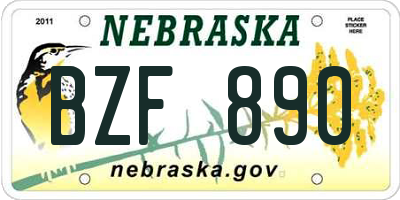 NE license plate BZF890