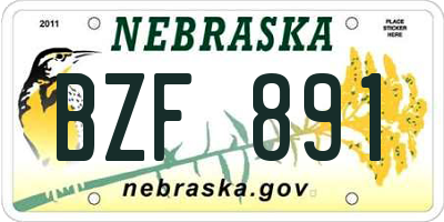 NE license plate BZF891