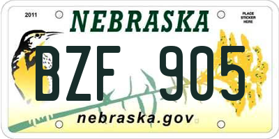 NE license plate BZF905