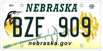 NE license plate BZF909