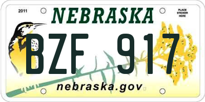 NE license plate BZF917