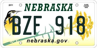 NE license plate BZF918