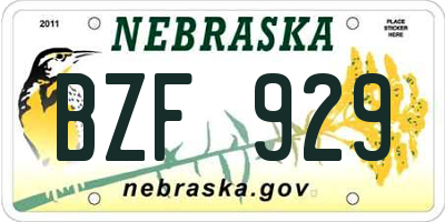 NE license plate BZF929