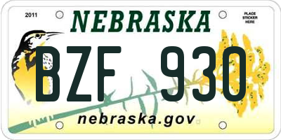 NE license plate BZF930