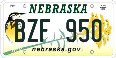 NE license plate BZF950