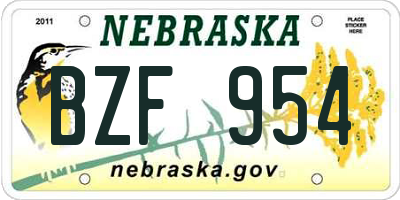NE license plate BZF954