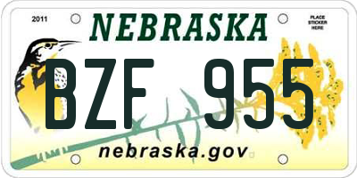 NE license plate BZF955