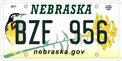 NE license plate BZF956