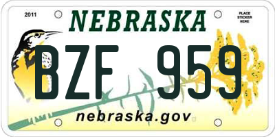 NE license plate BZF959