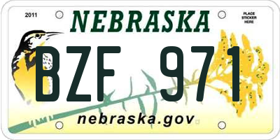 NE license plate BZF971