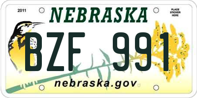 NE license plate BZF991