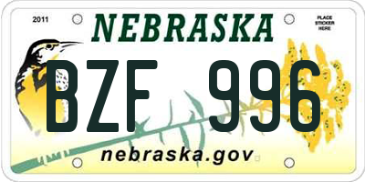 NE license plate BZF996