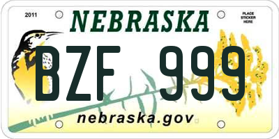 NE license plate BZF999