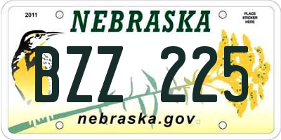 NE license plate BZZ225