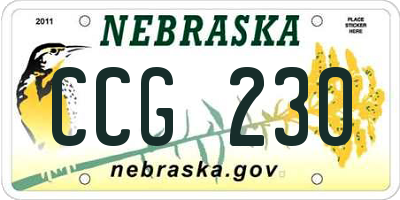 NE license plate CCG230