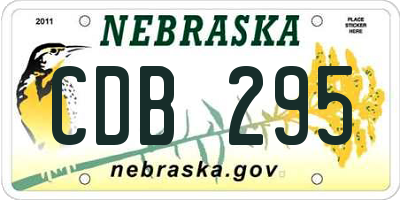 NE license plate CDB295
