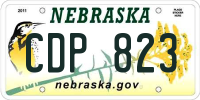 NE license plate CDP823