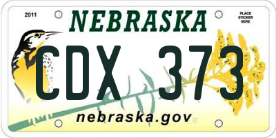 NE license plate CDX373