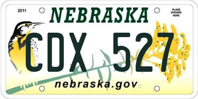 NE license plate CDX527
