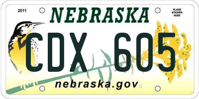 NE license plate CDX605