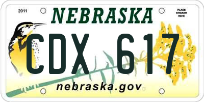 NE license plate CDX617