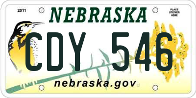 NE license plate CDY546