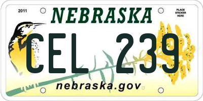 NE license plate CEL239